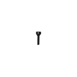 Vite T20 (040020-3123-Y variante)